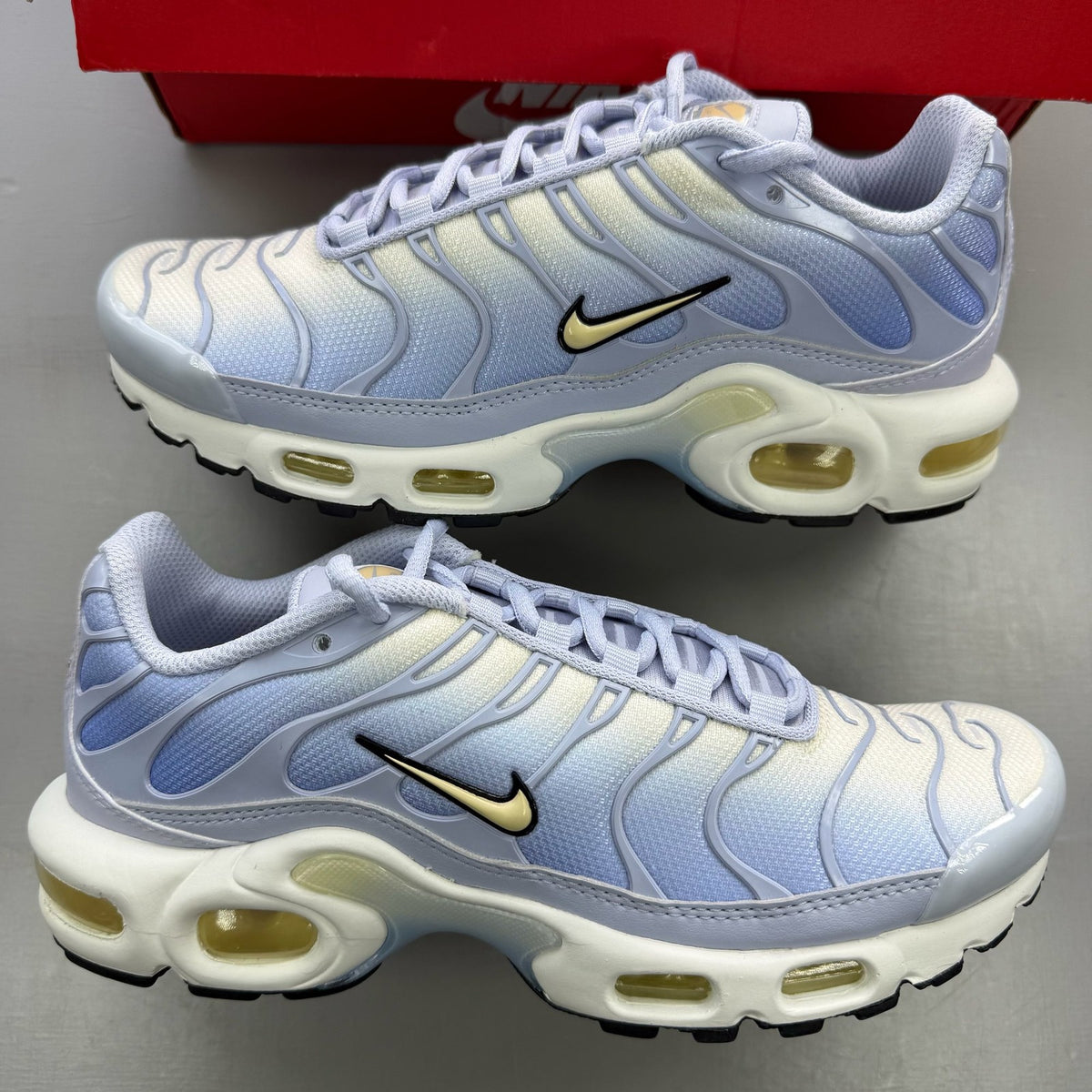 Nike Air Max Plus TN blue trainers with signature logo and sleek design.