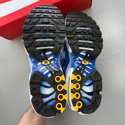 Nike Air Max Plus TN white trainers with blue accents and signature logo.