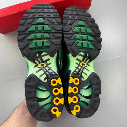 Nike Air Max Plus TN green trainers with lemon twist accents and distinctive logo.