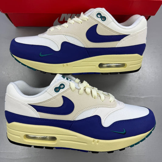 Nike athletic shoes royal blue with white swoosh logo and mesh detailing.