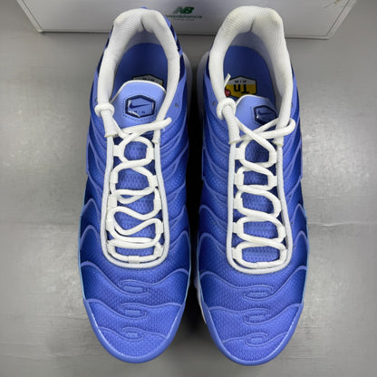 Nike running shoes blue with signature logo and textured mesh upper.