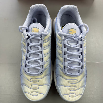 Nike Air Max Plus TN blue trainers with signature logo and sleek design.