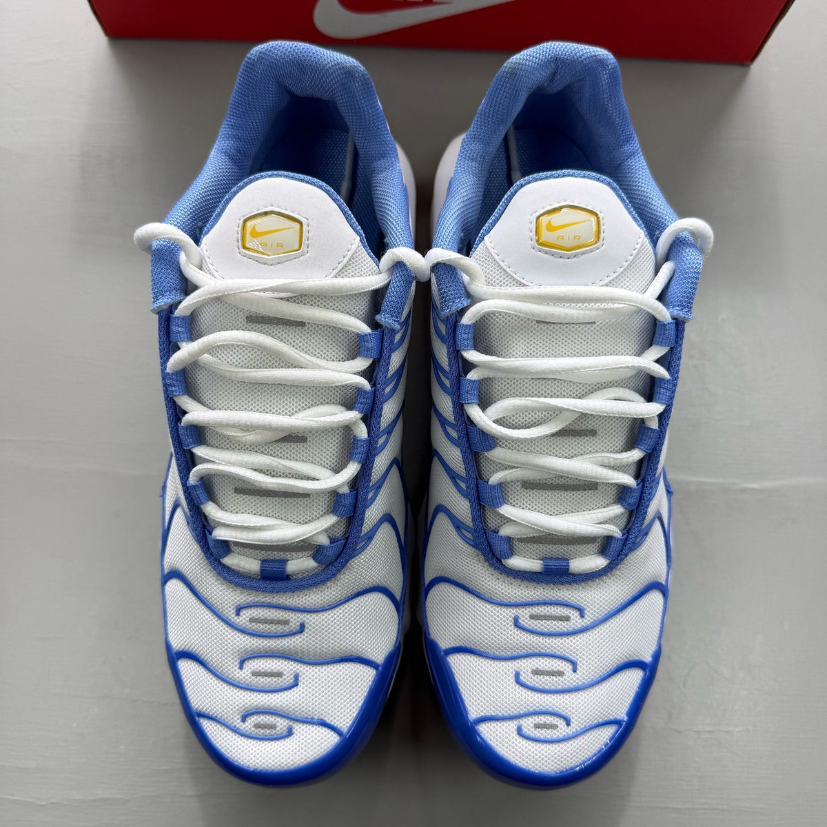 Nike Air Max Plus TN blue trainers with white accents and signature logo details.