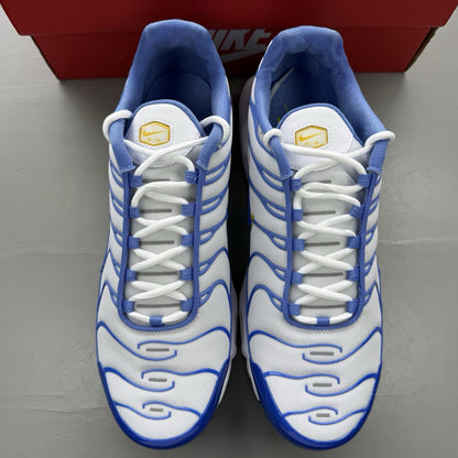 Nike Air Max Plus TN white trainers with blue and yellow accents, mesh upper.