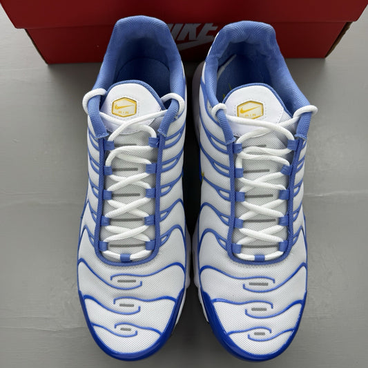 Nike Air Max Plus TN white trainers with blue and yellow accents, mesh upper.