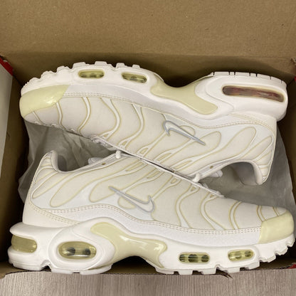 Nike Air Max Plus TN trainers white with silver accents and visible logo.