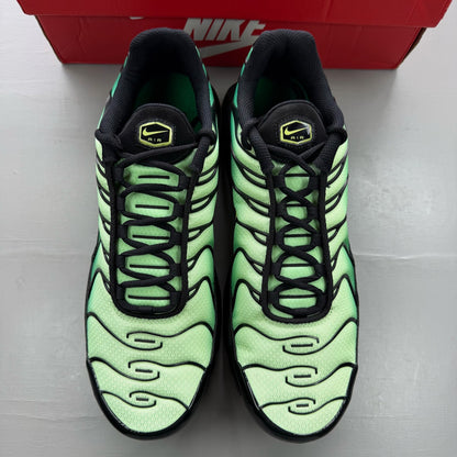 Nike Air Max Plus TN green trainers with lemon twist accents and signature logo.