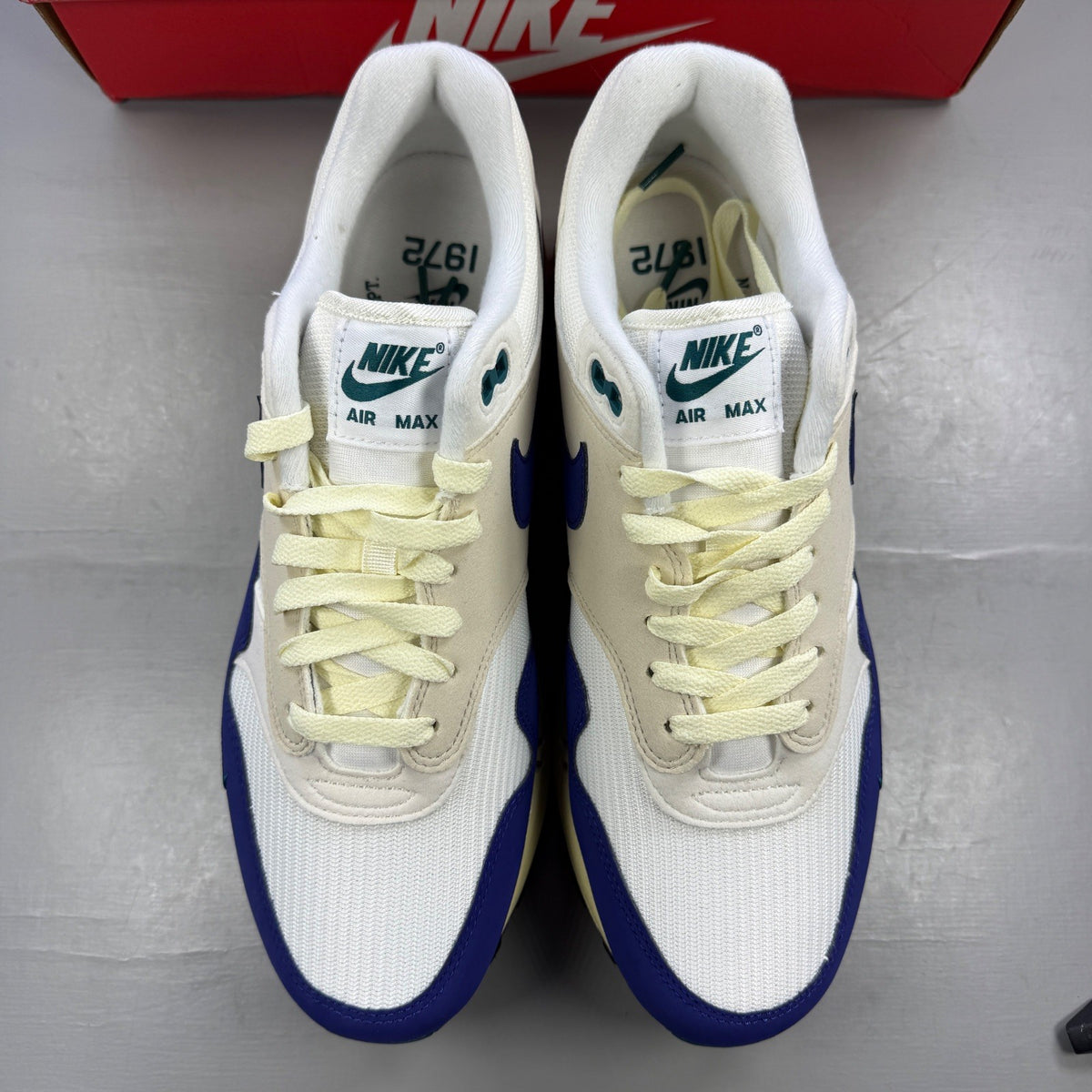 Nike athletic shoes royal blue with white swoosh logo and mesh detailing.