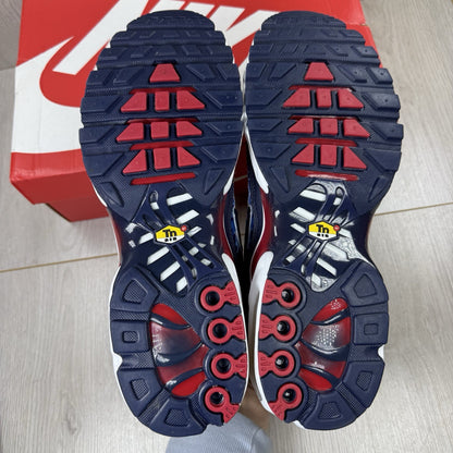 Nike Air Max Plus trainers blue with unique lightning pattern and signature logo.