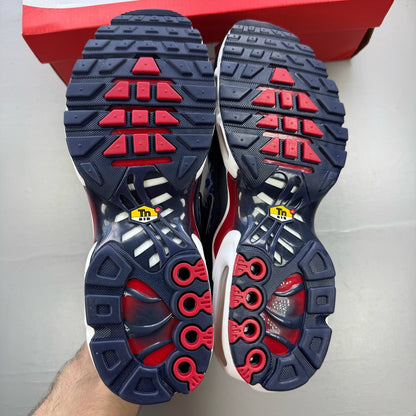 Nike Air Max Plus TN trainers multi-colour with lightning pattern and signature logo.