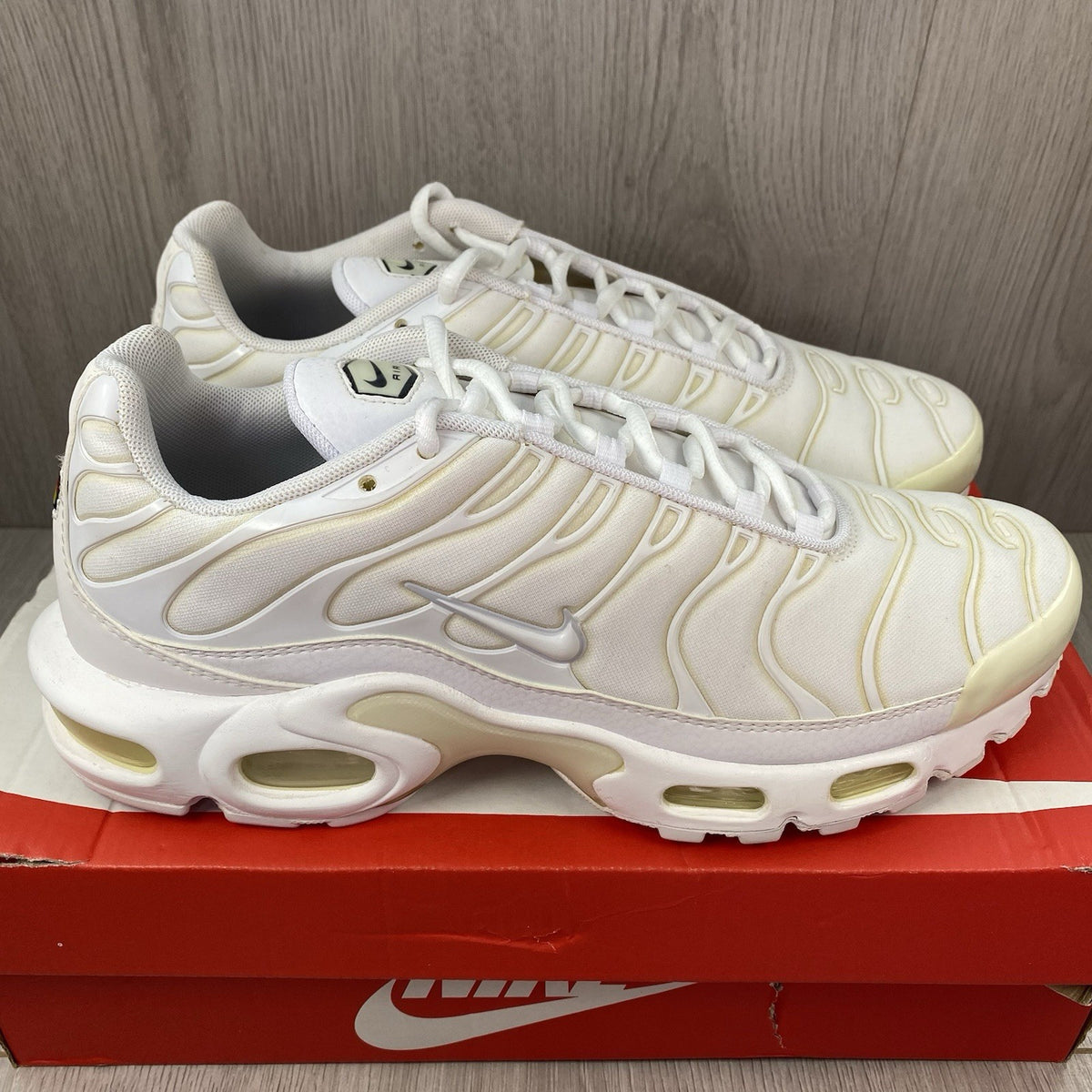 Nike Air Max Plus TN trainers white with silver accents and visible logo.