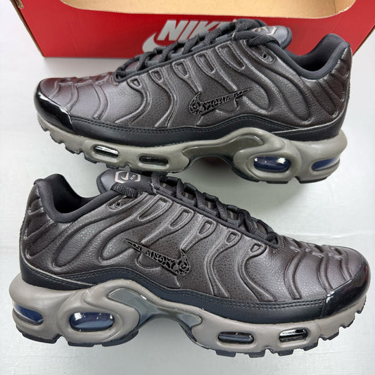 Nike Air Max Plus TN Premium Paris Size 5.5 HJ4519-200